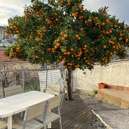 Apartment Fioregreco - Free Parking - Large Outdoor Space